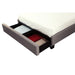 Modus Royal Tufted Footboard Storage Bed in Dolphin Linen Image 6