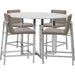 Modus Furniture Amalfi Metal Back Counter Stool in Taupe Leather 655450234019 1AE270M Image 3