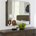 Modus Furniture Broderick Dresser Mirror in Wild Oats Brown 655450326042 EQY683 Main Image