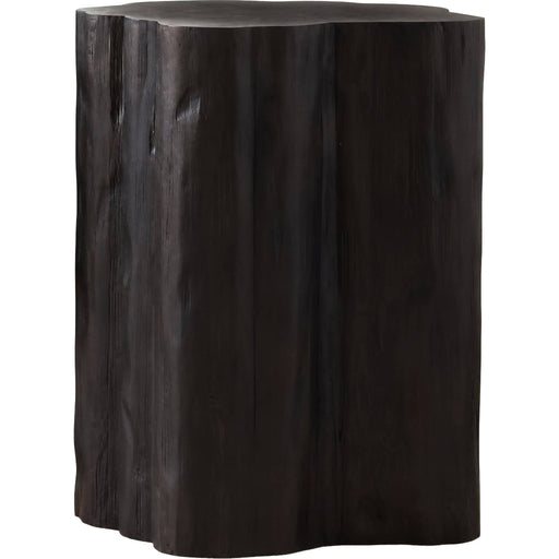 Modus Furniture Inez End Table in Nocturne 655450572326 Z16S22 Image 1