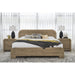 Modus Furniture Kione Acacia Wood Platform Bed in Lioness  TXXWH  Image 12