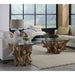 Modus Furniture One Solid Teak Root Glass Top Coffee Table 655450405228 JVHS21 Image 1