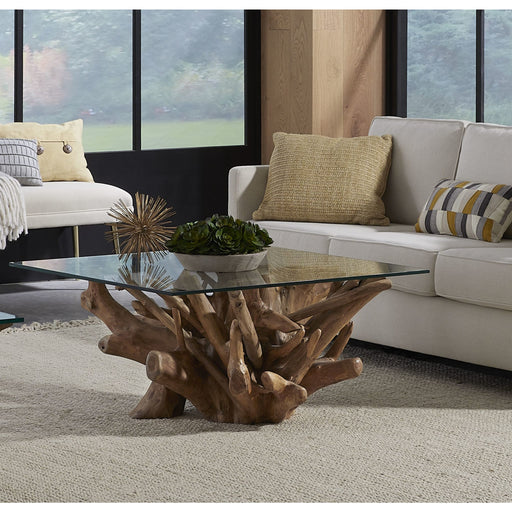 Modus Furniture One Solid Teak Root Glass Top Coffee Table 655450405228 JVHS21 Main Image