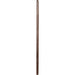 Modus Furniture Sol Beveled Glass Floor Mirror in Brown Spce 655450420535 NXLJ83FL Image 4