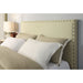 Modus Furniture Tavel Nailhead Upholstered Headboard in Tumbleweed  3ZS1L BH12 Main Image
