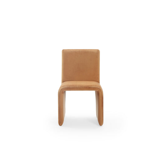Modus Winston Fully Upholstered Side chair in Whiskey VelvetMain Image