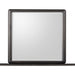 Modus Furniture Xolani Beveled Glass Wall or Dresser Mirror in Jaguar 655450474606 TTXT83 Image 1